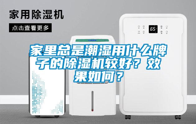 家里總是潮濕用什么牌子的除濕機較好？效果如何？