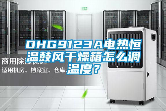 DHG9123A電熱恒溫鼓風干燥箱怎么調溫度？