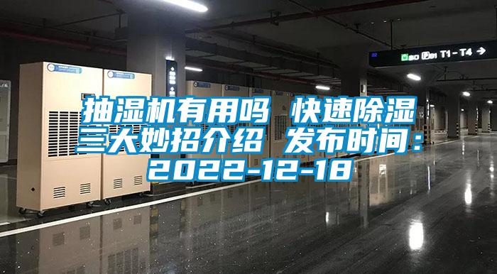 抽濕機有用嗎 快速除濕三大妙招介紹 發布時間：2022-12-18