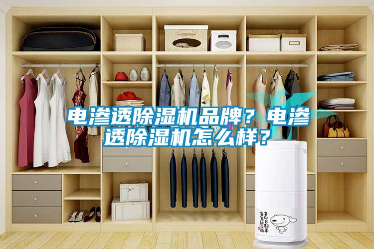 電滲透除濕機品牌？電滲透除濕機怎么樣？