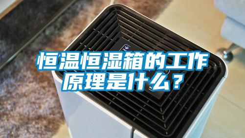 恒溫恒濕箱的工作原理是什么？