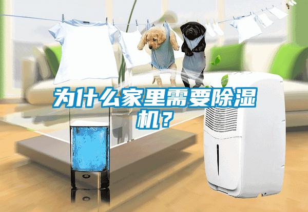 為什么家里需要除濕機？