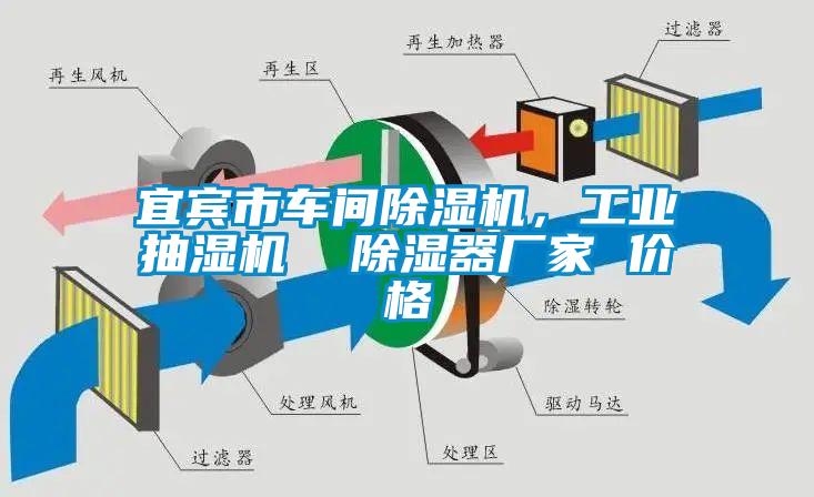 宜賓市車間除濕機，工業抽濕機  除濕器廠家 價格