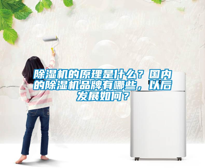 除濕機的原理是什么？國內的除濕機品牌有哪些，以后發展如何？