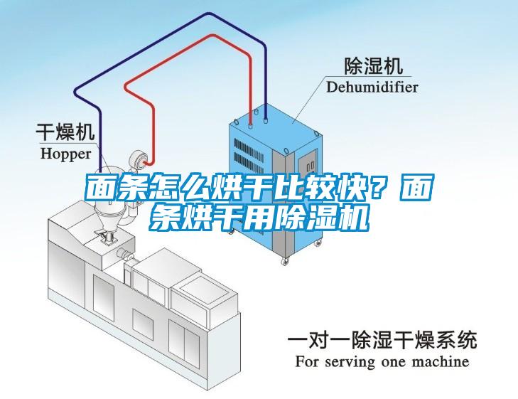 面條怎么烘干比較快？面條烘干用除濕機