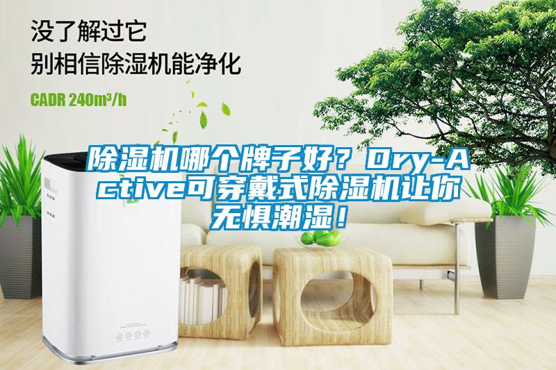 除濕機哪個牌子好？Dry-Active可穿戴式除濕機讓你無懼潮濕！