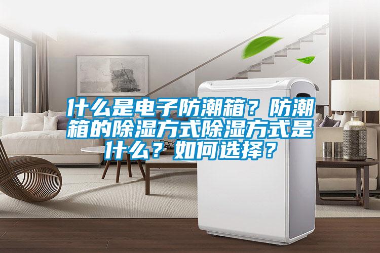 什么是電子防潮箱？防潮箱的除濕方式除濕方式是什么？如何選擇？