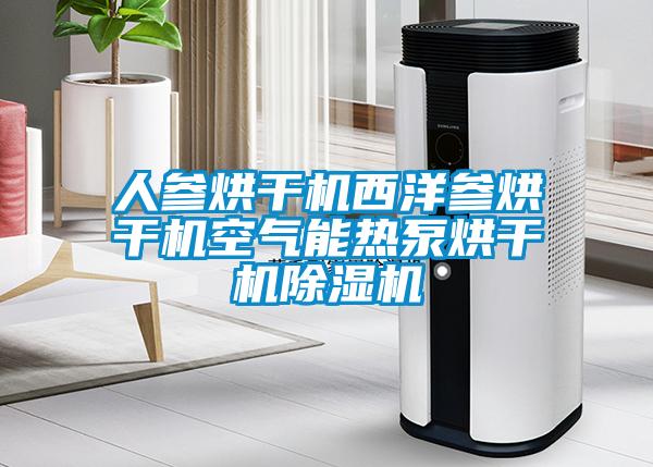 人參烘干機西洋參烘干機空氣能熱泵烘干機除濕機