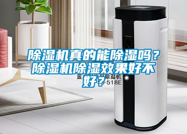 除濕機真的能除濕嗎？除濕機除濕效果好不好？