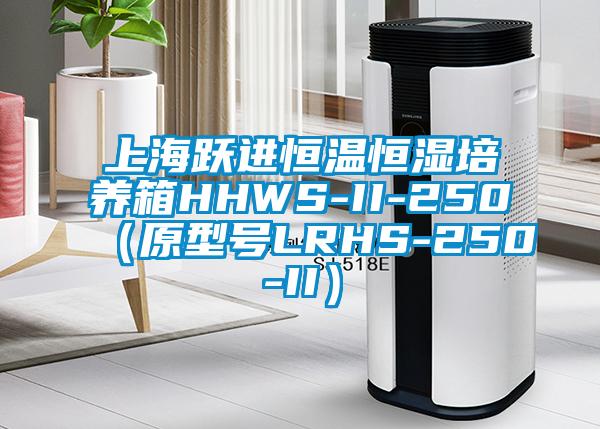 上海躍進恒溫恒濕培養箱HHWS-II-250（原型號LRHS-250-II）