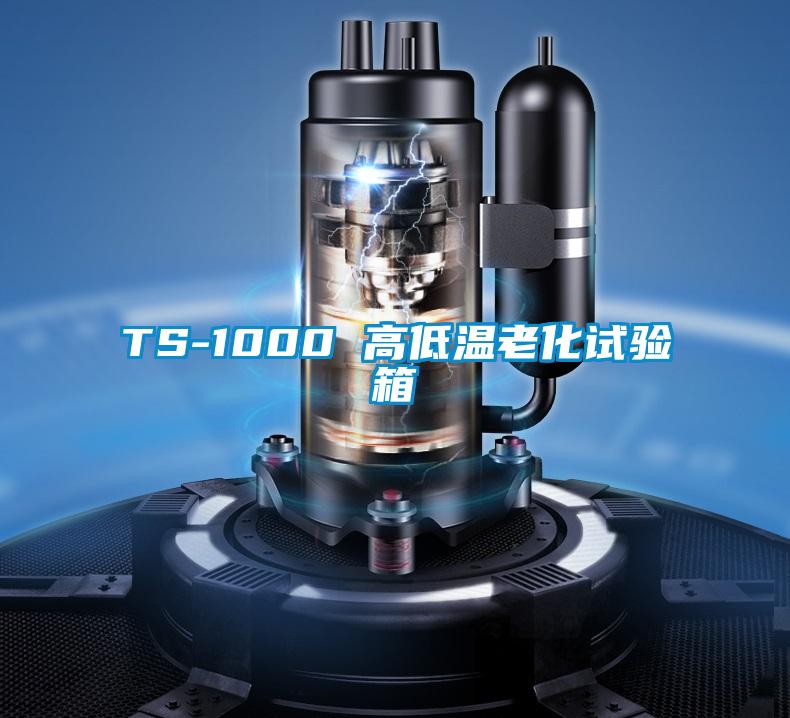 TS-1000 高低溫老化試驗箱