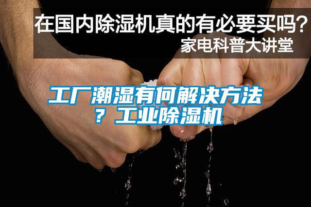 工廠潮濕有何解決方法？工業除濕機