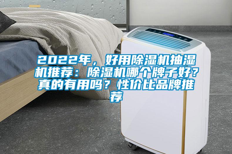 2022年，好用除濕機抽濕機推薦：除濕機哪個牌子好？真的有用嗎？性價比品牌推薦