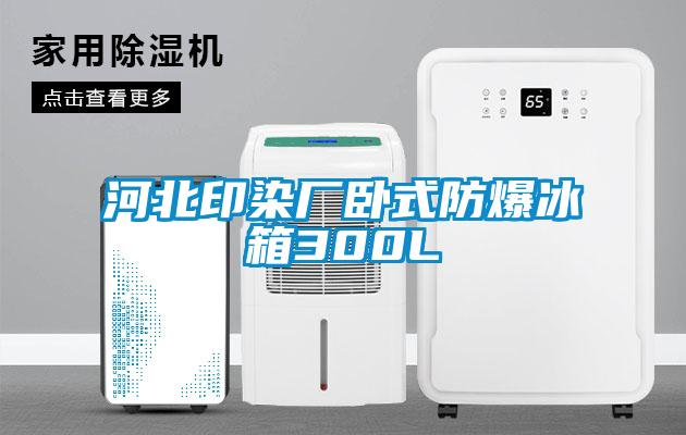 河北印染廠臥式防爆冰箱300L