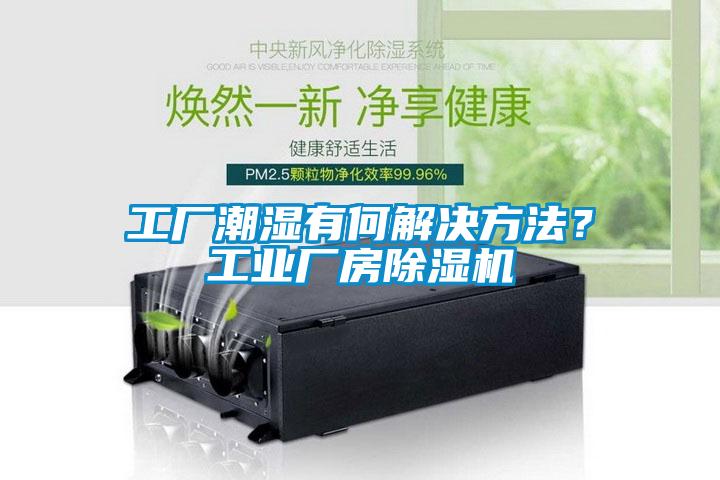 工廠潮濕有何解決方法？工業廠房除濕機