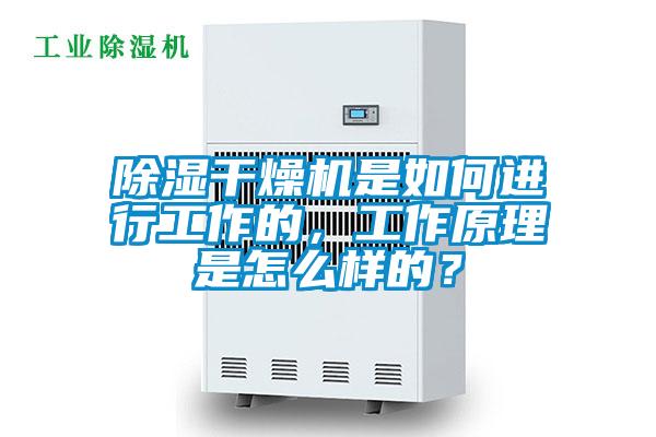 除濕干燥機是如何進行工作的，工作原理是怎么樣的？