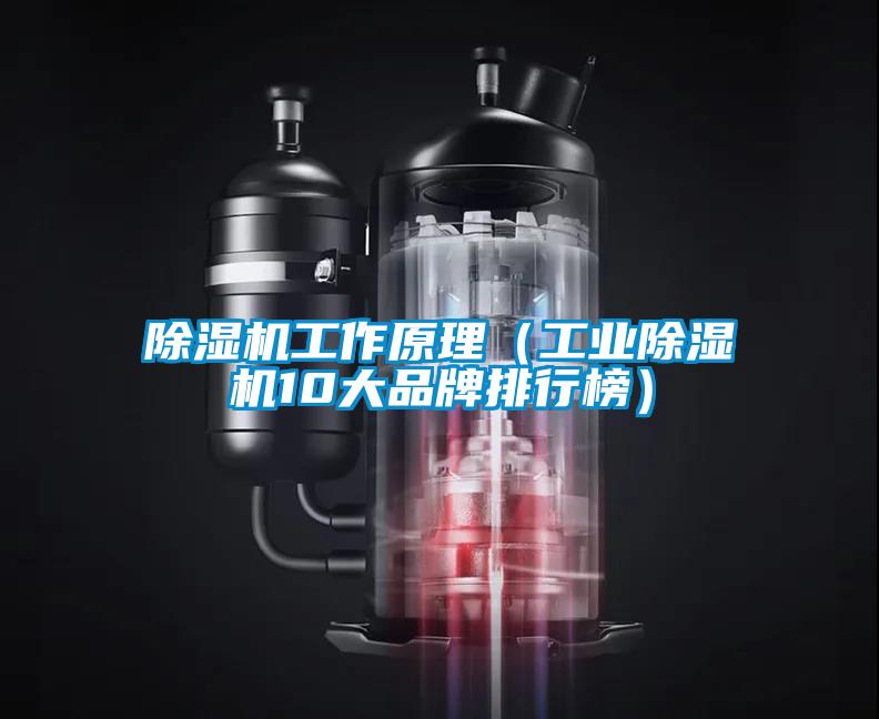 除濕機工作原理（工業除濕機10大品牌排行榜）