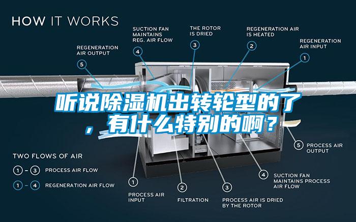 聽說除濕機出轉輪型的了，有什么特別的??？