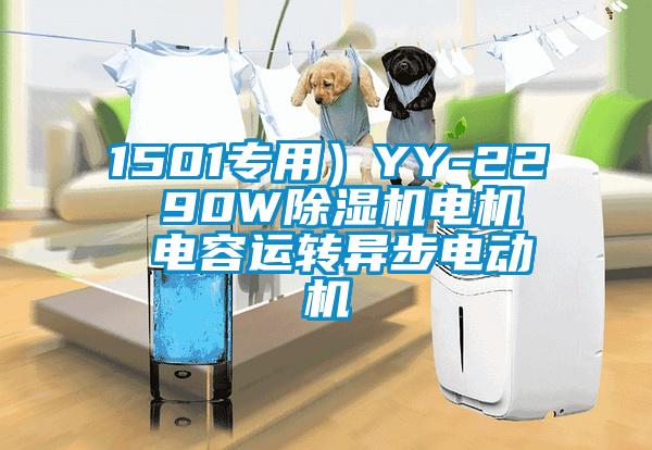 1501專用）YY-22  90W除濕機電機  電容運轉異步電動機