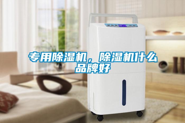 專用除濕機，除濕機什么品牌好