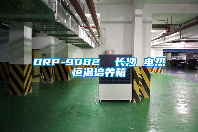 DRP-9082  長沙 電熱恒溫培養箱