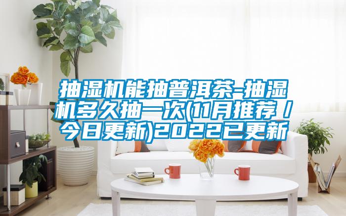 抽濕機能抽普洱茶-抽濕機多久抽一次(11月推薦／今日更新)2022已更新