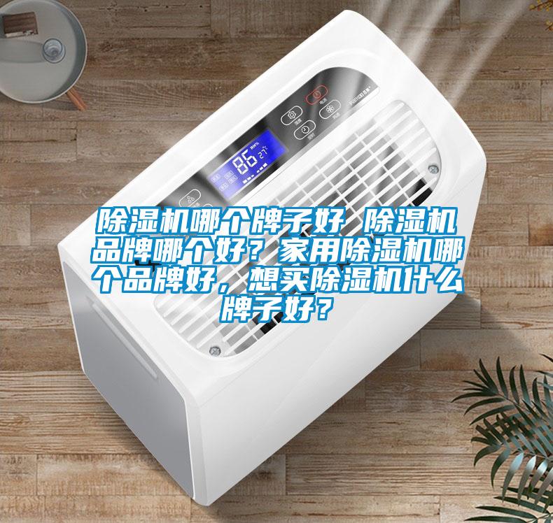 除濕機哪個牌子好 除濕機品牌哪個好？家用除濕機哪個品牌好，想買除濕機什么牌子好？