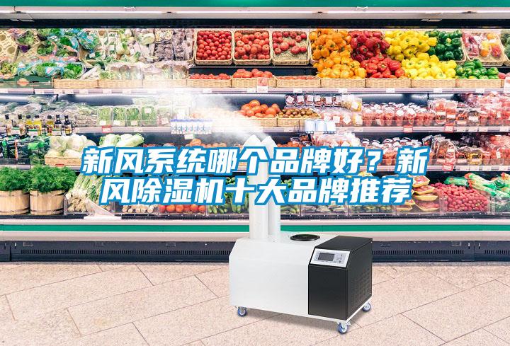 新風系統哪個品牌好？新風除濕機十大品牌推薦