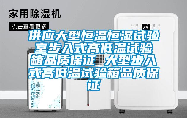 供應大型恒溫恒濕試驗室步入式高低溫試驗箱品質保證 大型步入式高低溫試驗箱品質保證