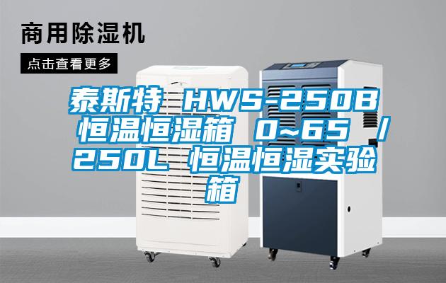 泰斯特 HWS-250B 恒溫恒濕箱 0~65℃／250L 恒溫恒濕實驗箱