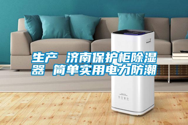 生產 濟南保護柜除濕器 簡單實用電力防潮