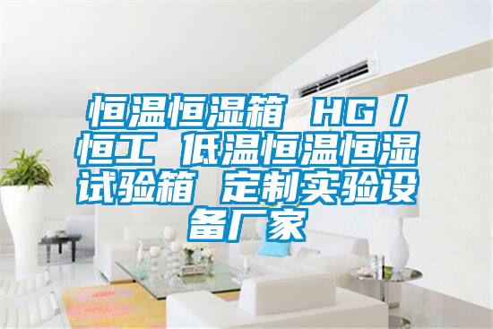 恒溫恒濕箱 HG／恒工 低溫恒溫恒濕試驗箱 定制實驗設備廠家