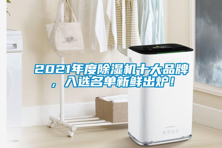 2021年度除濕機十大品牌，入選名單新鮮出爐！