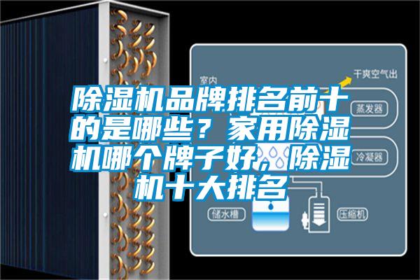 除濕機品牌排名前十的是哪些？家用除濕機哪個牌子好，除濕機十大排名