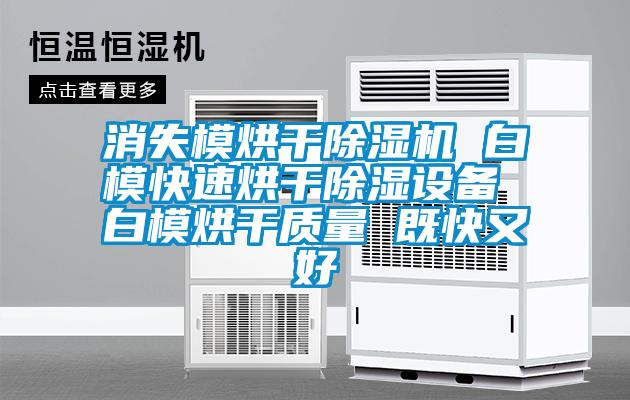 消失模烘干除濕機 白?？焖俸娓沙凉裨O備 白模烘干質量 既快又好