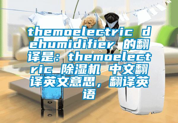 themoelectric dehumidifier 的翻譯是：themoelectric 除濕機 中文翻譯英文意思，翻譯英語