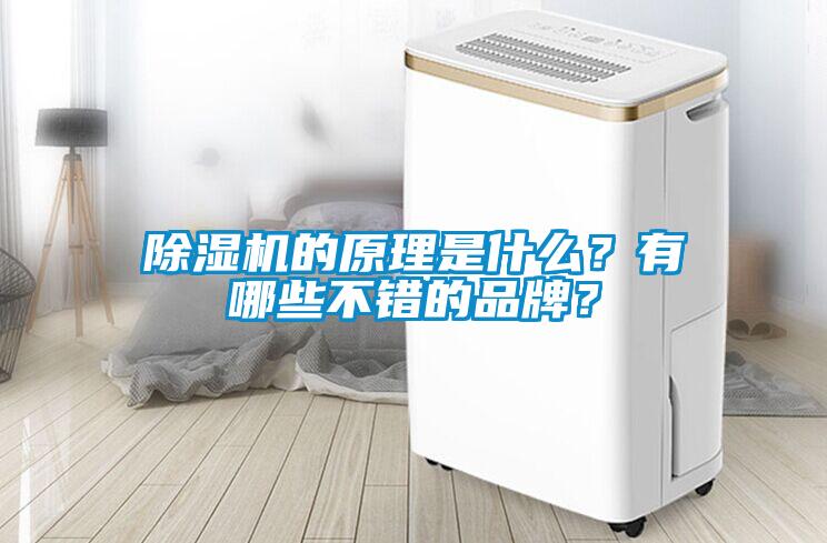 除濕機的原理是什么？有哪些不錯的品牌？