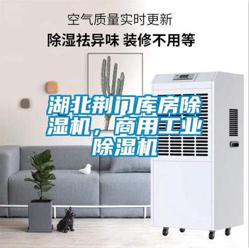 湖北荊門庫房除濕機，商用工業除濕機