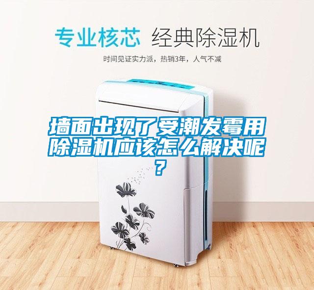 墻面出現了受潮發霉用除濕機應該怎么解決呢？