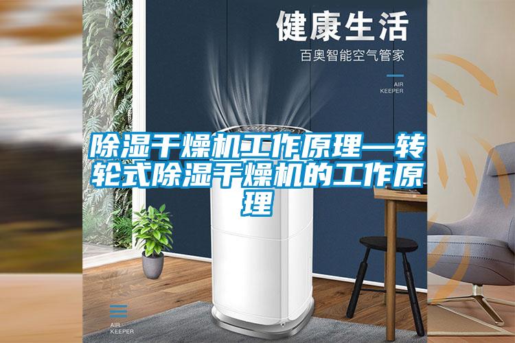 除濕干燥機工作原理—轉輪式除濕干燥機的工作原理