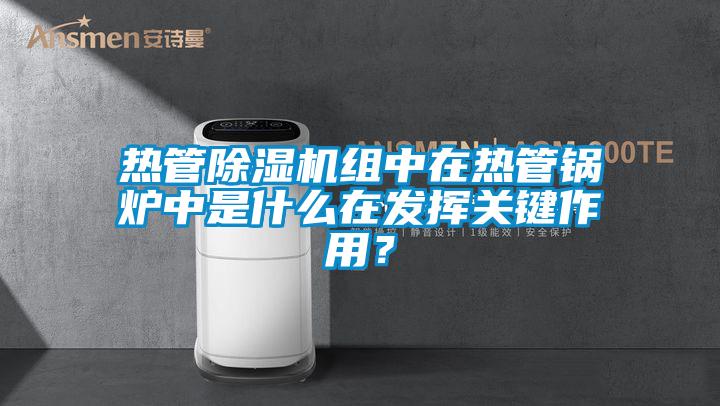 熱管除濕機組中在熱管鍋爐中是什么在發揮關鍵作用？