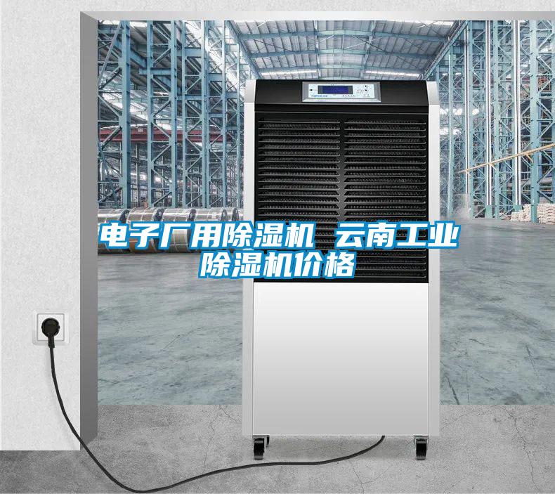 電子廠用除濕機 云南工業除濕機價格