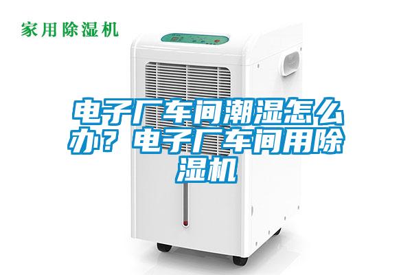 電子廠車間潮濕怎么辦？電子廠車間用除濕機