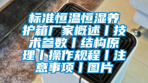 標準恒溫恒濕養護箱廠家概述丨技術參數丨結構原理丨操作規程丨注意事項丨圖片