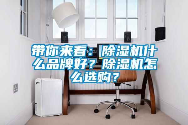 帶你來看：除濕機什么品牌好？除濕機怎么選購？