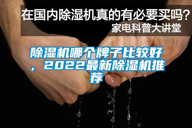 除濕機哪個牌子比較好，2022最新除濕機推薦