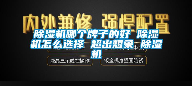 除濕機哪個牌子的好 除濕機怎么選擇 超出想象 除濕機