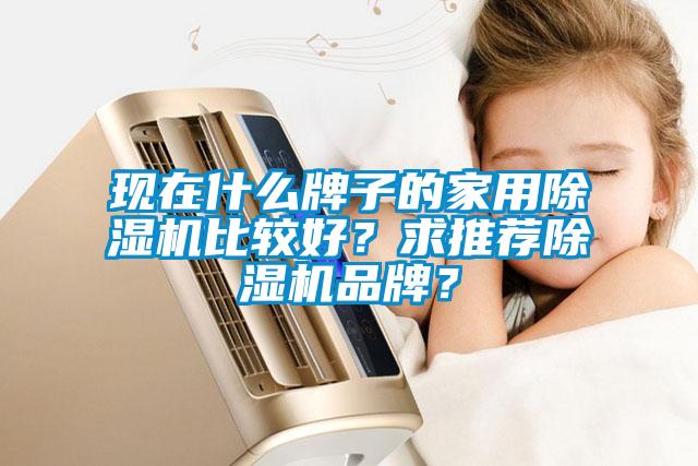 現在什么牌子的家用除濕機比較好？求推薦除濕機品牌？