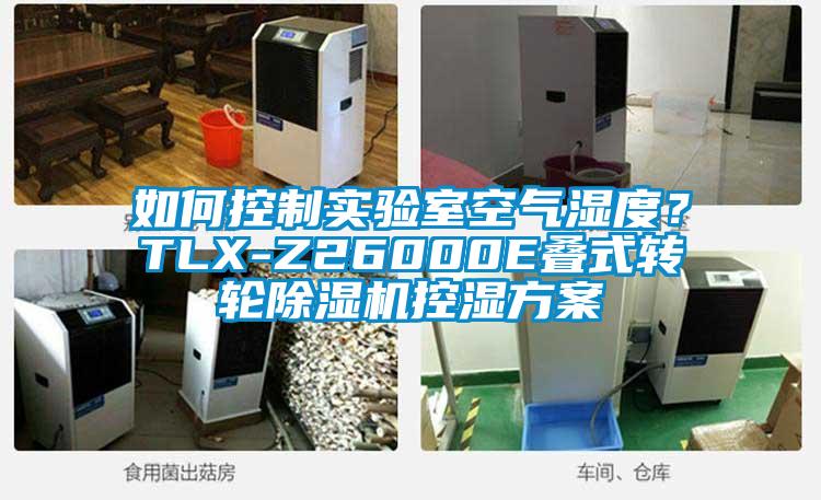 如何控制實驗室空氣濕度？TLX-Z26000E疊式轉輪除濕機控濕方案