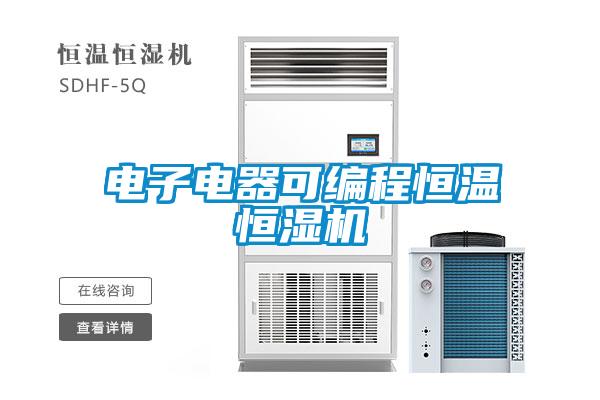 電子電器可編程恒溫恒濕機